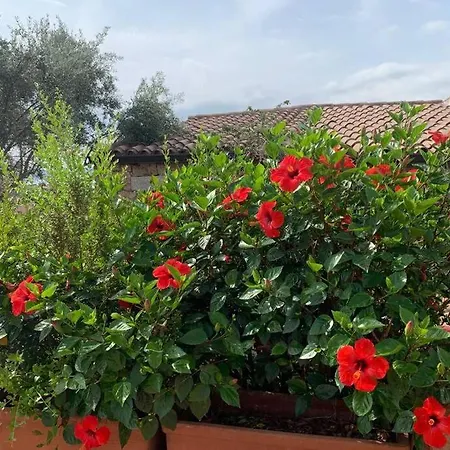 Vakantiehuis Casa Roberta - Villetta Vista Mare & Airco