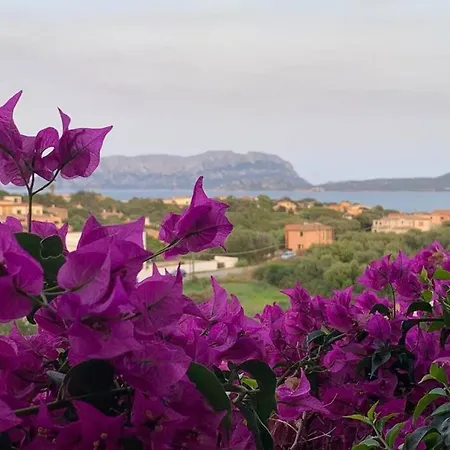Casa Roberta - Villetta Vista Mare & Airco * Olbia