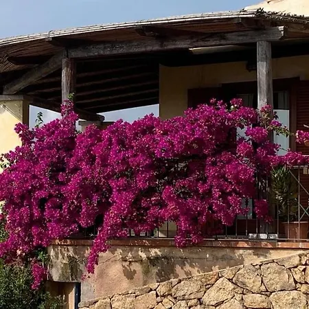Casa Roberta - Villetta Vista Mare & Airco Vakantiehuis Olbia