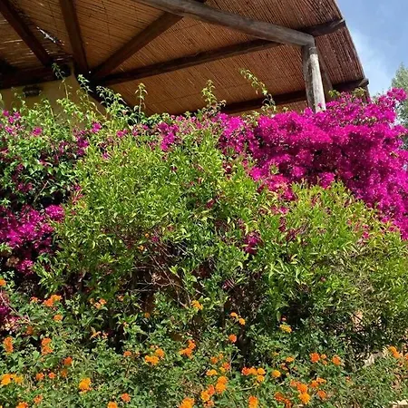 Vakantiehuis Casa Roberta - Villetta Vista Mare & Airco Olbia