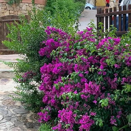Casa Roberta - Villetta Vista Mare & Airco Olbia